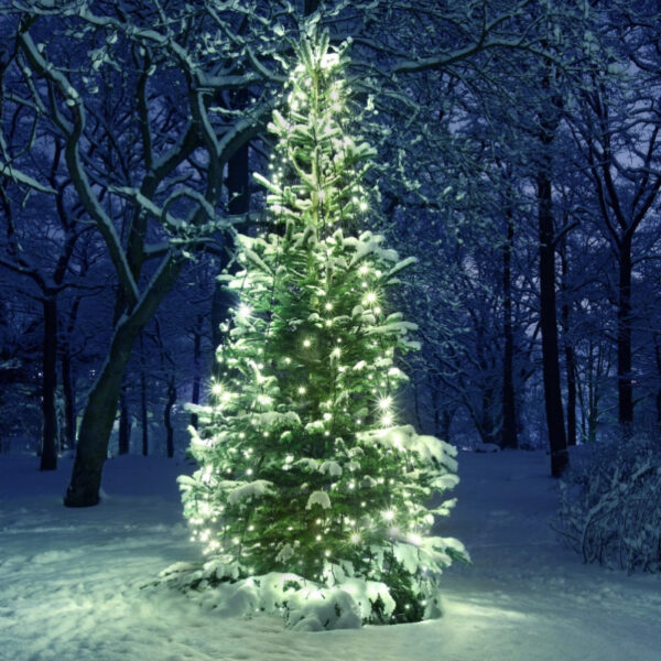 Ulei parfumat Christmas Tree, parfum lumanari, aromaterapie, sapun sau produse cosmetice