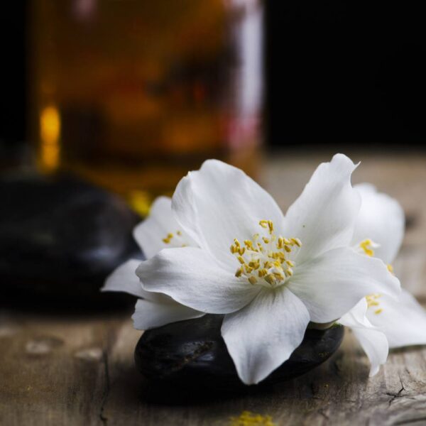 Ulei parfumat Black Jasmine, parfum lumanari, aromaterapie, sapun sau produse cosmetice.