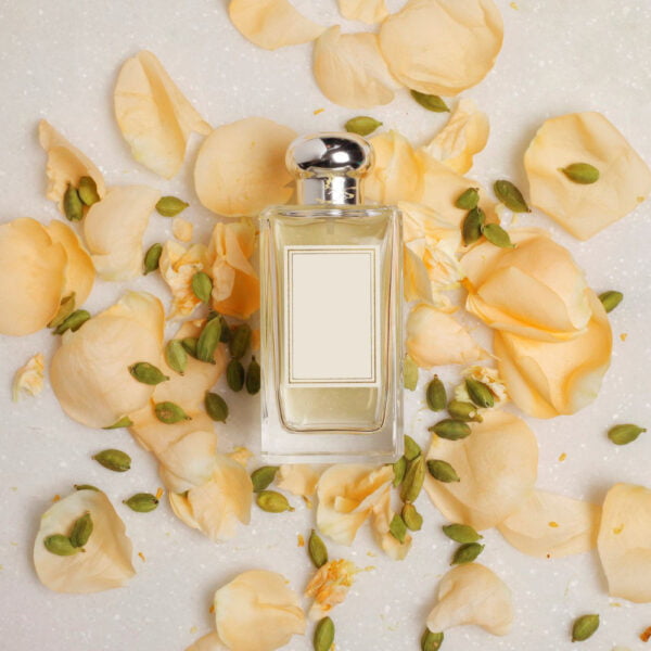 Ulei parfumat Cardamom & Mimosa, parfum lumanari, aromaterapie, sapun sau produse cosmetice.
